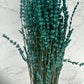 Lavanda turquesa preservada