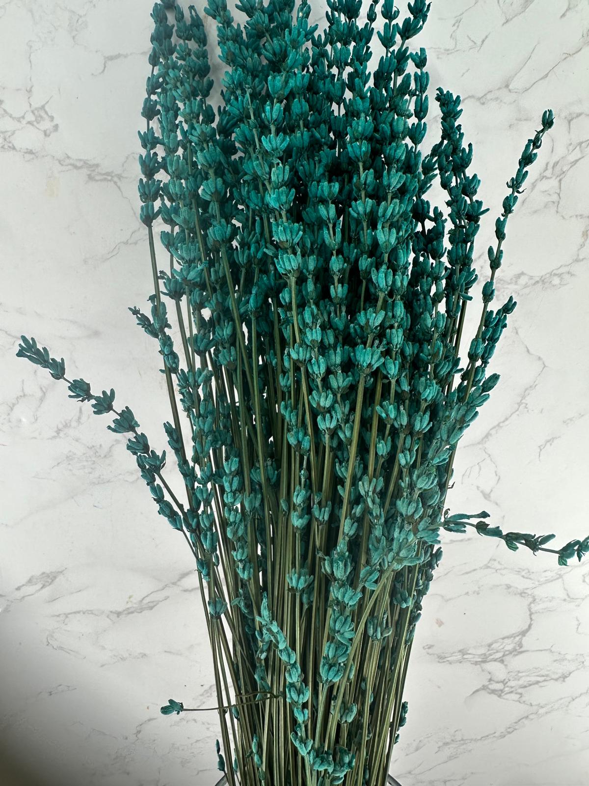 Lavanda turquesa preservada