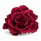 Gardenia preservada Burgundy