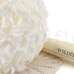Hortensia Blanca Preservada – Verdissimo | Pampaseca