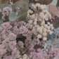 CENTRO FLORAL PRESENCIA