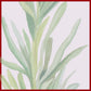 ACEITE ESENCIAL ROMERO 50ML
