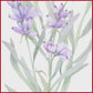 ACEITE ESENCIAL DE LAVANDA ALPINA ALTA  10ML