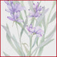 ACEITE ESENCIAL LAVANDA 10 ml