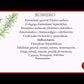 ACEITE ESENCIAL ROMERO 50ML