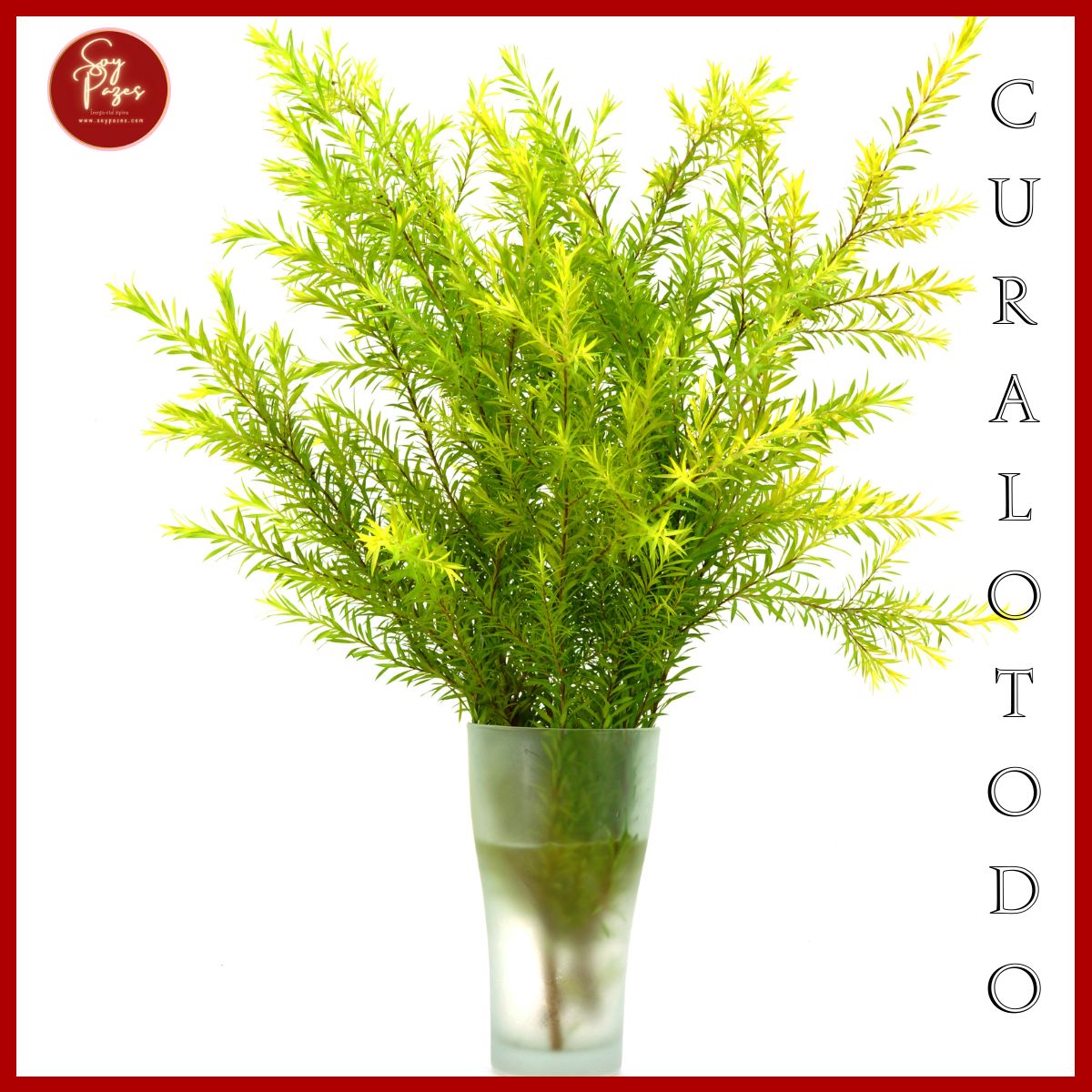ACEITE ESENCIAL ÁRBOL DE TÉ 500ML
