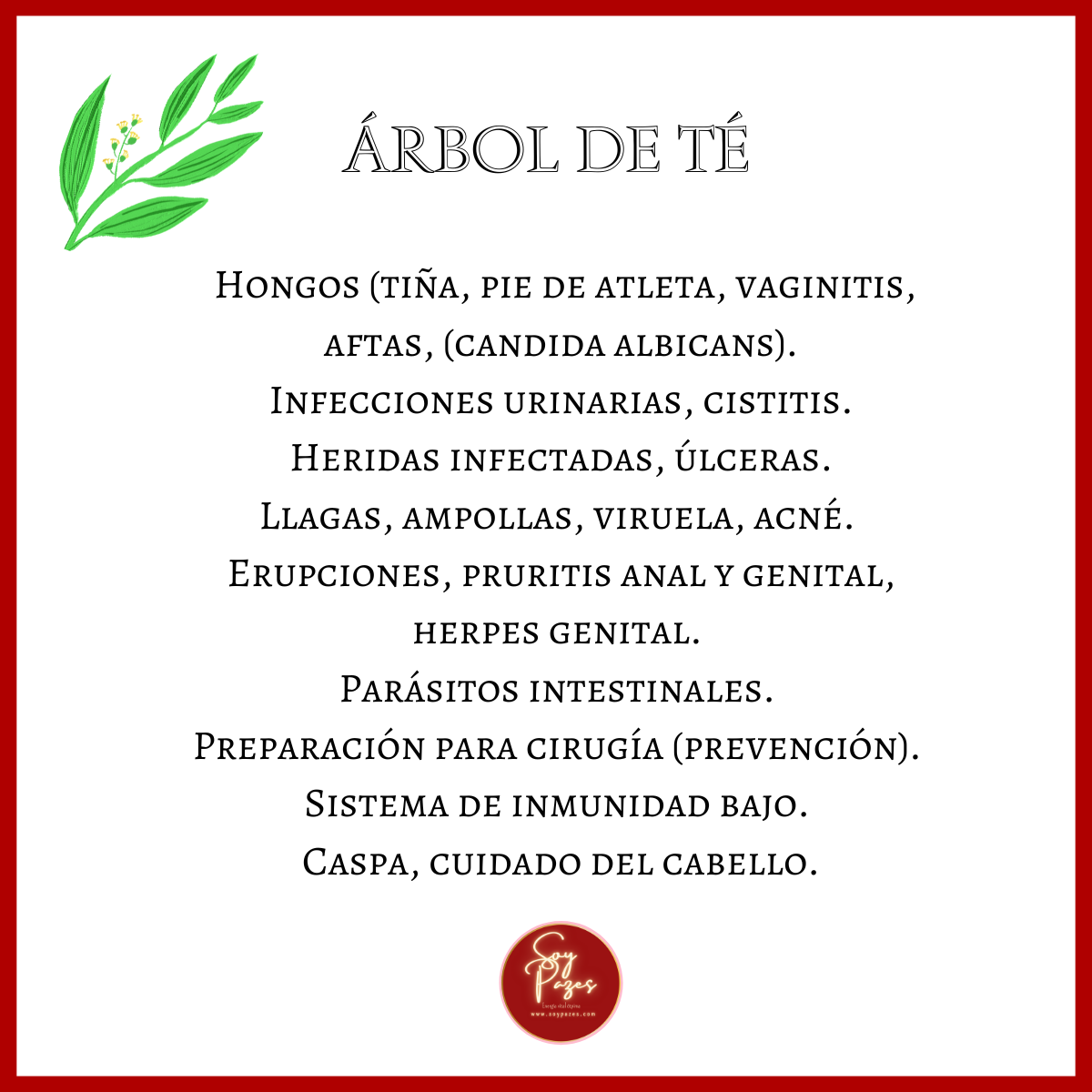 ACEITE ESENCIAL ÁRBOL DE TÉ 500ML