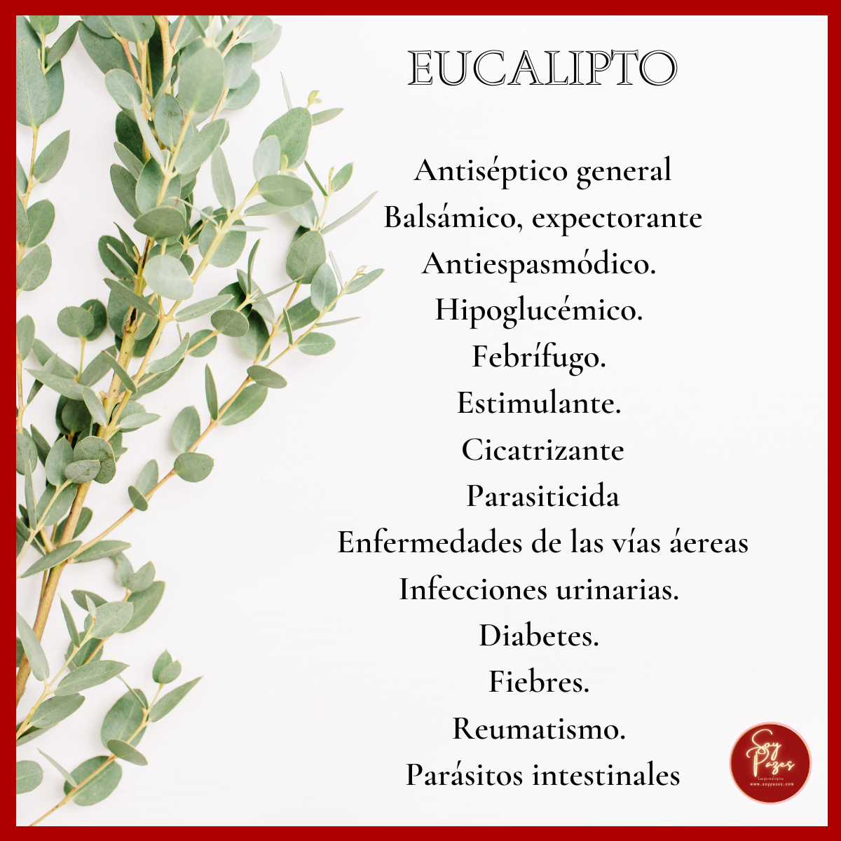 ACEITE ESENCIAL EUCALIPTO ORGÁNICO 10ML