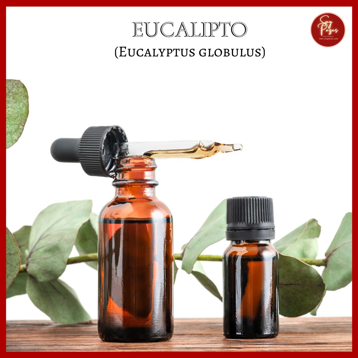 ACEITE ESENCIAL EUCALIPTO ORGÁNICO 10ML