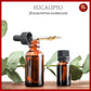 ACEITE ESENCIAL ORGÁNICO EUCALIPTO 50ML