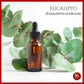 ACEITE ESENCIAL EUCALIPTO 10ML