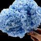 Hortensia  Preservada “Light Blue” – Verdissimo | Pampaseca