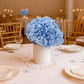 Hortensia  Preservada “Light Blue” – Verdissimo | Pampaseca