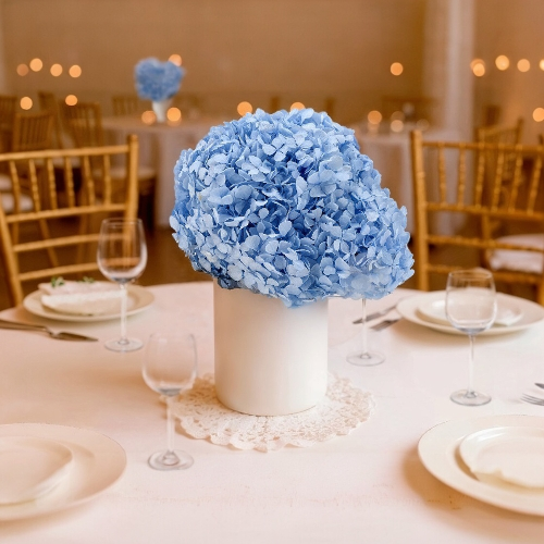 Hortensia  Preservada “Light Blue” – Verdissimo | Pampaseca