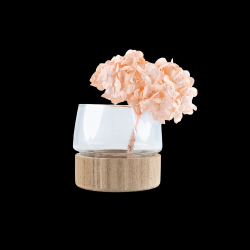 Hortensia Premium Rosa suave Verdíssimo | Pampaseca