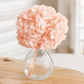 Hortensia Premium Rosa suave Verdíssimo | Pampaseca