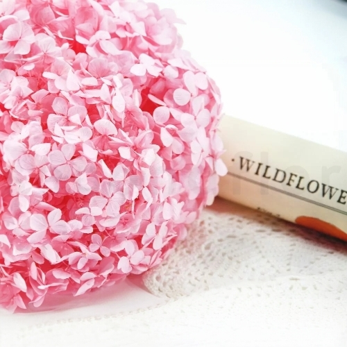 Hortensia Rosa Pastel Preservada – Verdissimo | Pampaseca