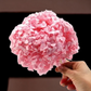 Hortensia Rosa Pastel Preservada – Verdissimo | Pampaseca