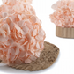 Hortensia Premium Rosa suave Verdíssimo | Pampaseca