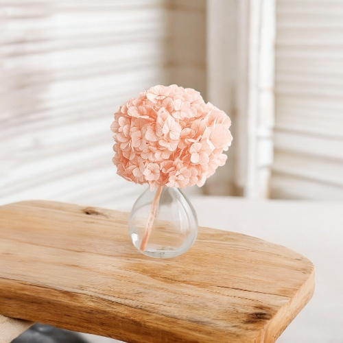 Hortensia Premium Rosa suave Verdíssimo | Pampaseca