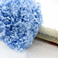Hortensia  Preservada “Light Blue” – Verdissimo | Pampaseca