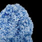 Hortensia  Preservada “Light Blue” – Verdissimo | Pampaseca