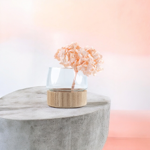 Hortensia Premium Rosa suave Verdíssimo | Pampaseca