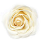 ROSAS DE JABÓN GRANDES X 25 UNIDADES