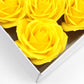 ROSAS DE JABÓN GRANDES X 25 UNIDADES