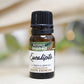 ACEITE ESENCIAL EUCALIPTO 10ML